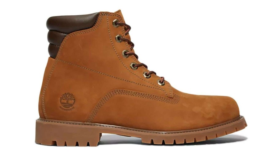 Men * | Timberland Alburn 6 Inch Boot New Threads Brown