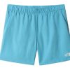 Clothing * | The North Face M Water Short Quick Delivery Blue